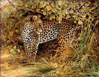 Leopard Gemälde